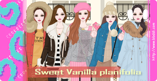 Sweet Vanilla Planifolia 이전빠숑 코디